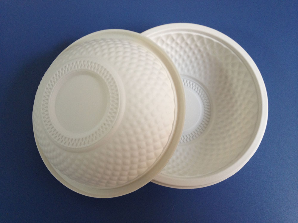Biodegradable Food Container
